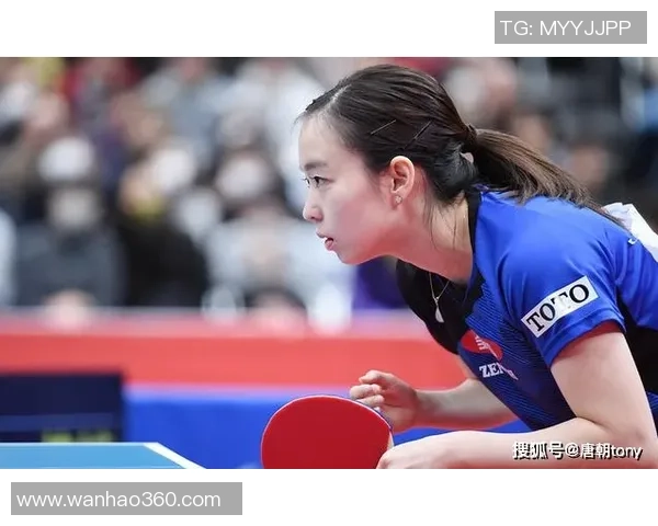 乒乓球巨献：探秘成都乒乓球队的耐力